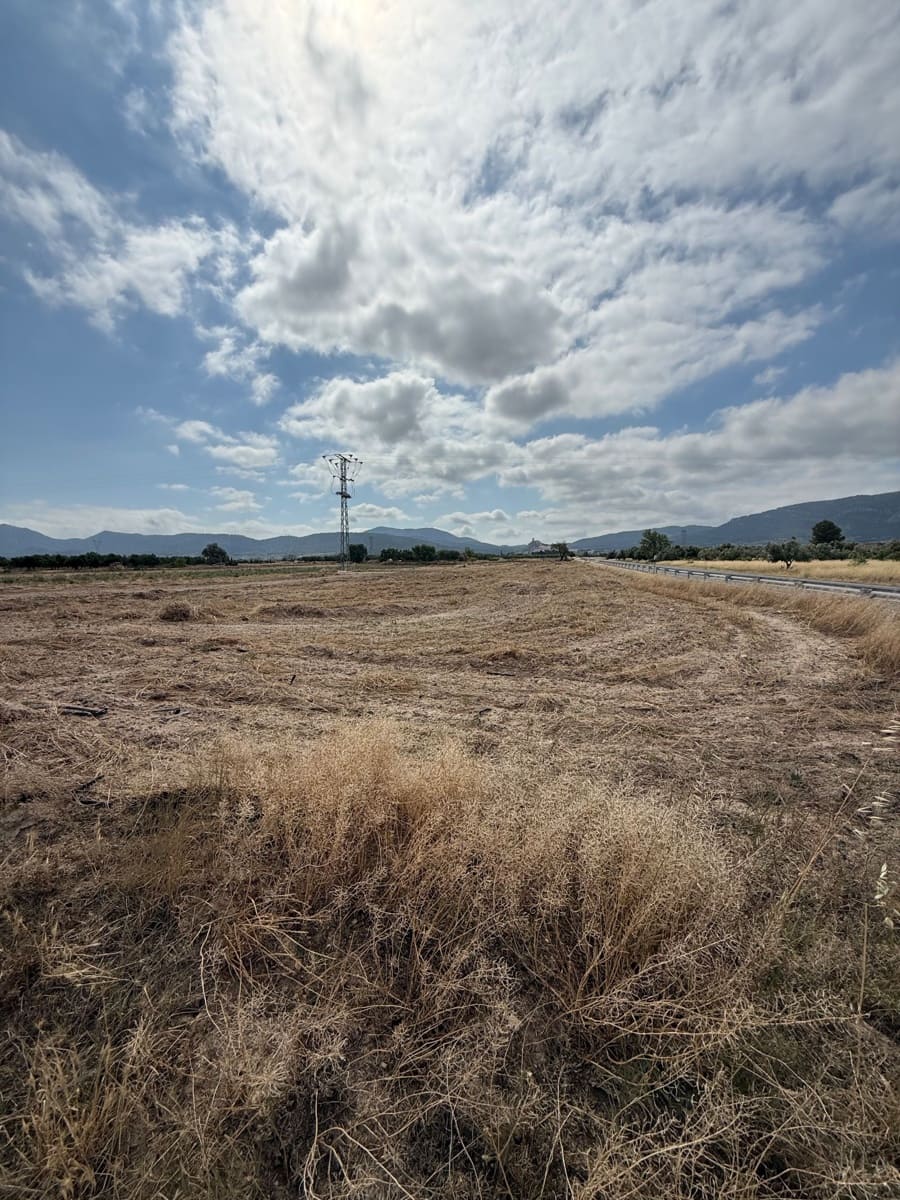 Grunde uden byggetilladelser til salg i Biar - € 75.000 (Ref: 10037852)