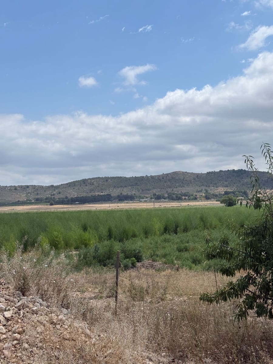 Mark till salu i Villena - 90 000 € (Ref: 10037853)