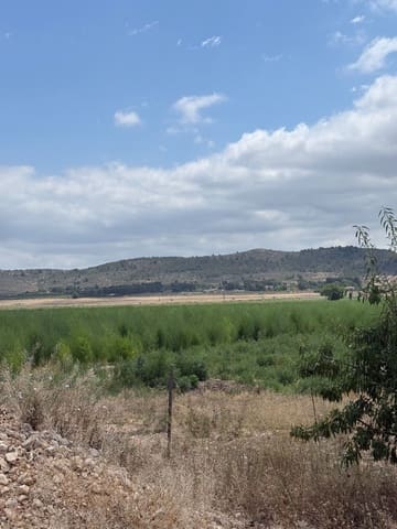 Mark till salu i Villena - 90 000 € (Ref: 10037853)