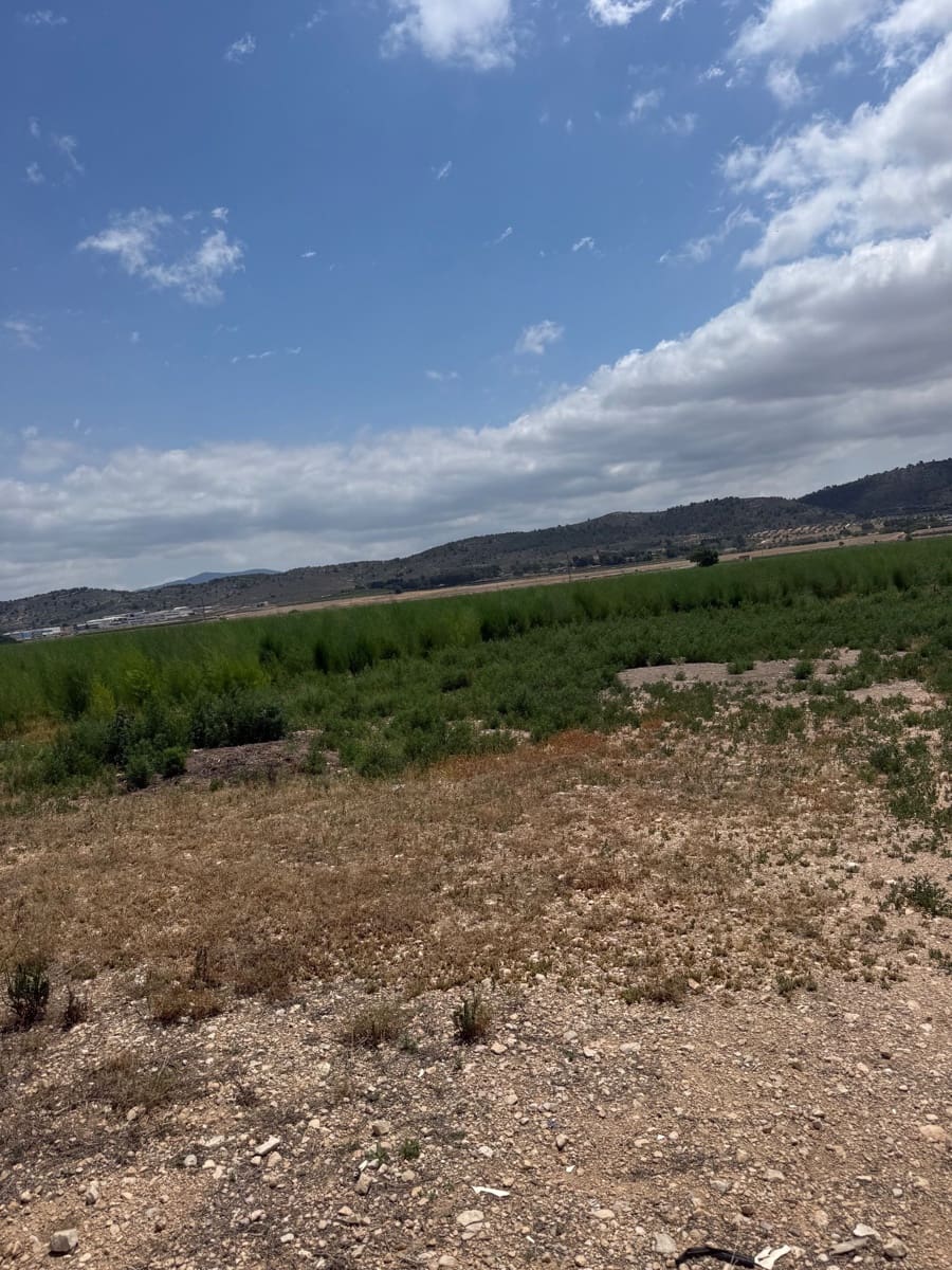Mark till salu i Villena - 90 000 € (Ref: 10037853)