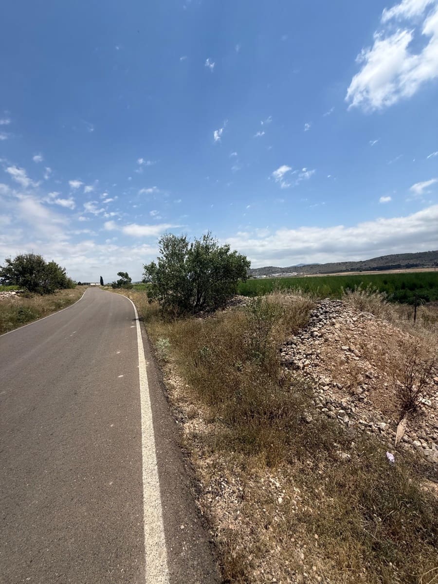 Mark till salu i Villena - 90 000 € (Ref: 10037853)