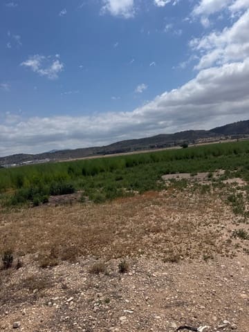 Mark till salu i Villena - 90 000 € (Ref: 10037853)