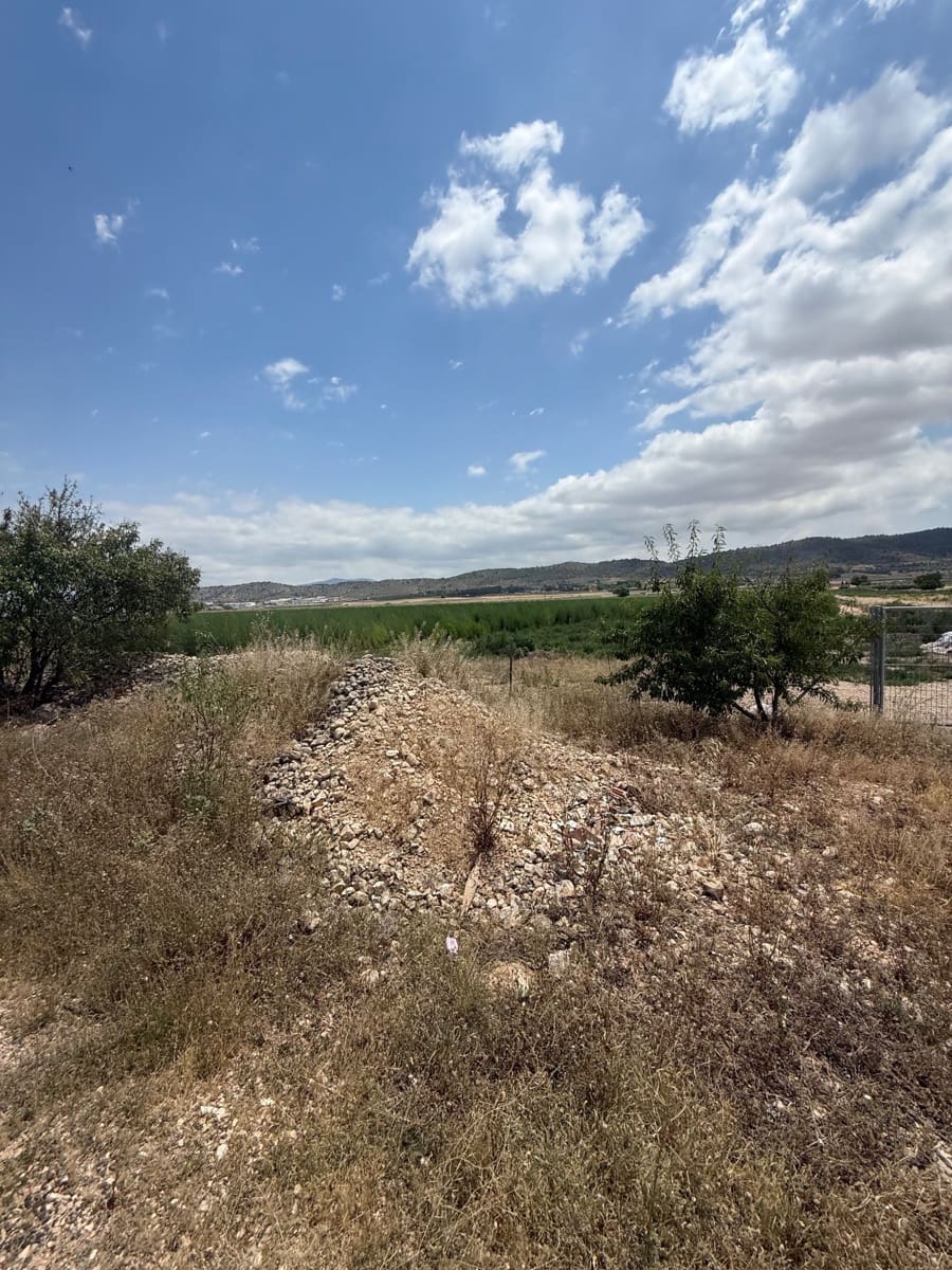 Mark till salu i Villena - 90 000 € (Ref: 10037853)