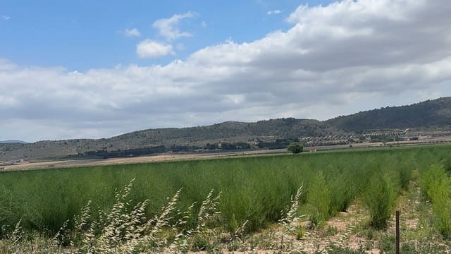 Mark till salu i Villena - 90 000 € (Ref: 10037853)