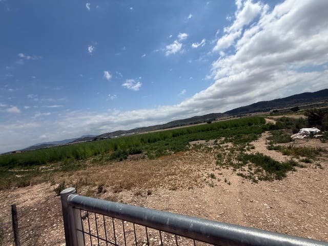 Mark till salu i Villena - 90 000 € (Ref: 10037853)