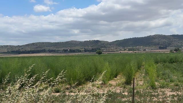 Mark till salu i Villena - 90 000 € (Ref: 10037853)