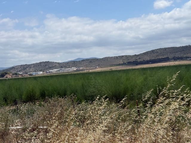 Mark till salu i Villena - 90 000 € (Ref: 10037853)