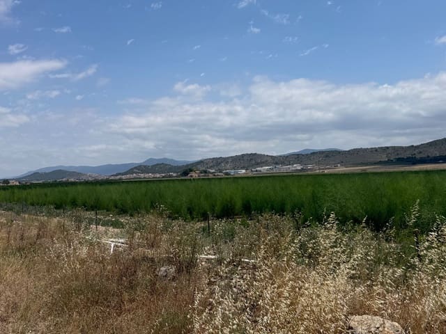 Mark till salu i Villena - 90 000 € (Ref: 10037853)