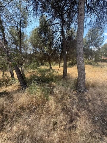 Tomt till salu i Cañada - 70 000 € (Ref: 10037854)