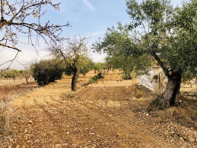 1 bedroom Finca/Country House for sale in Biar - € 35,000 (Ref: 6057628)