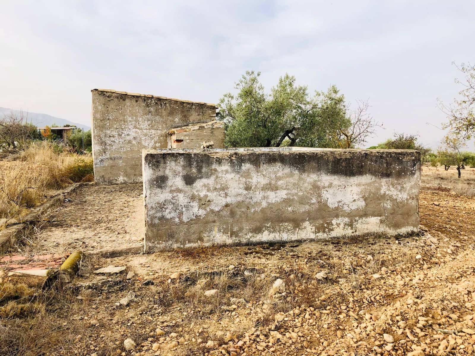 1 sypialnia Finka/Dom wiejski na sprzedaż w Biar - 35 000 € (Ref: 6057628)