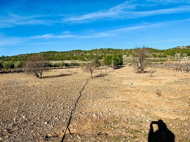 Mark till salu i Cañada - 39 900 € (Ref: 7379261)