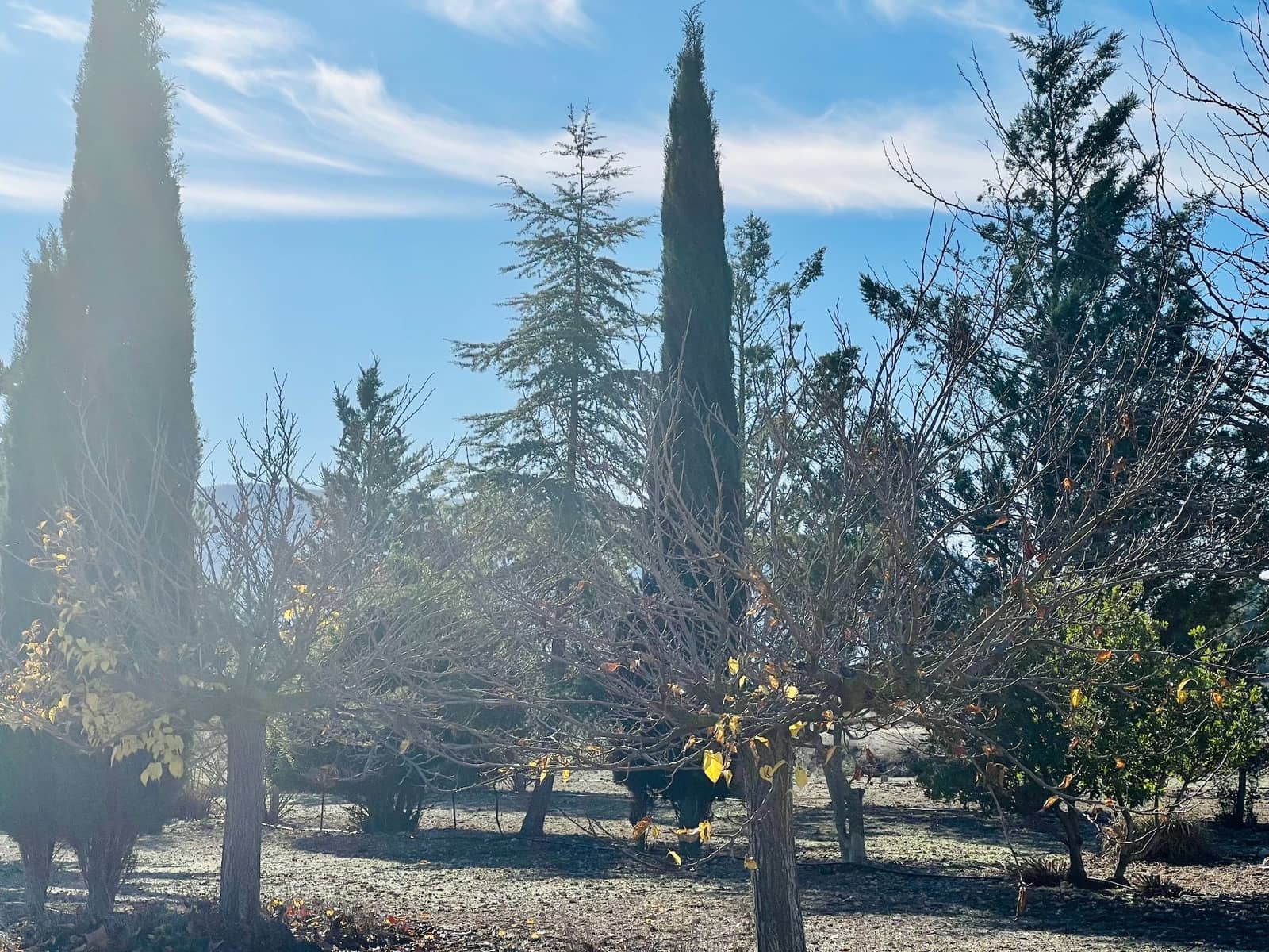 Grunde uden byggetilladelser til salg i Canada - € 39.900 (Ref: 7379261)