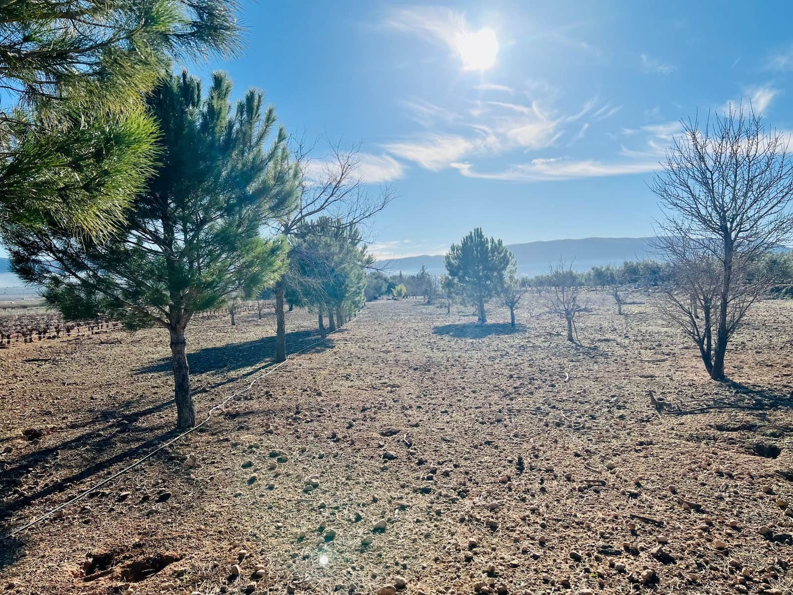 Grunde uden byggetilladelser til salg i Canada - € 39.900 (Ref: 7379261)