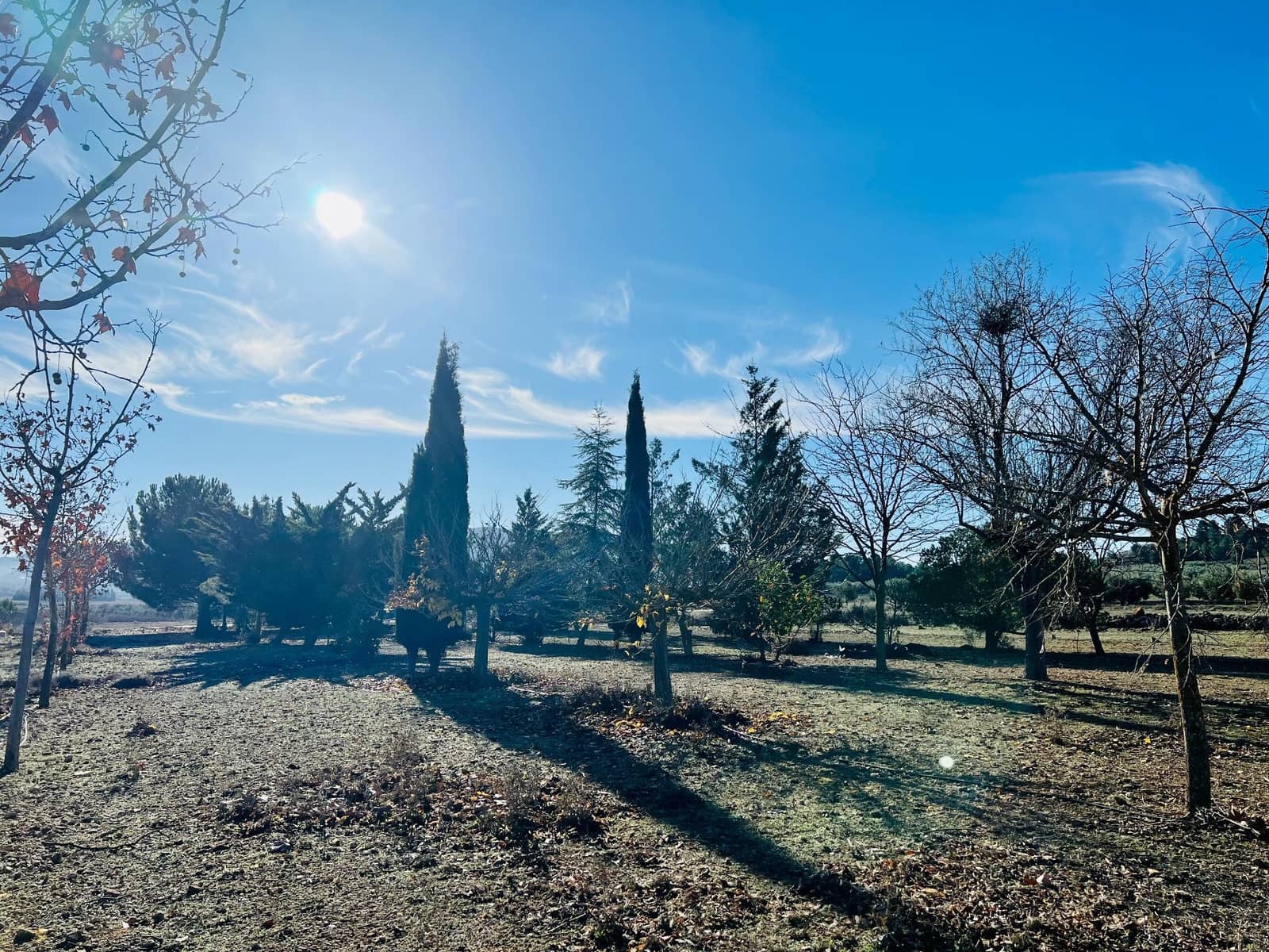 Grunde uden byggetilladelser til salg i Canada - € 39.900 (Ref: 7379261)