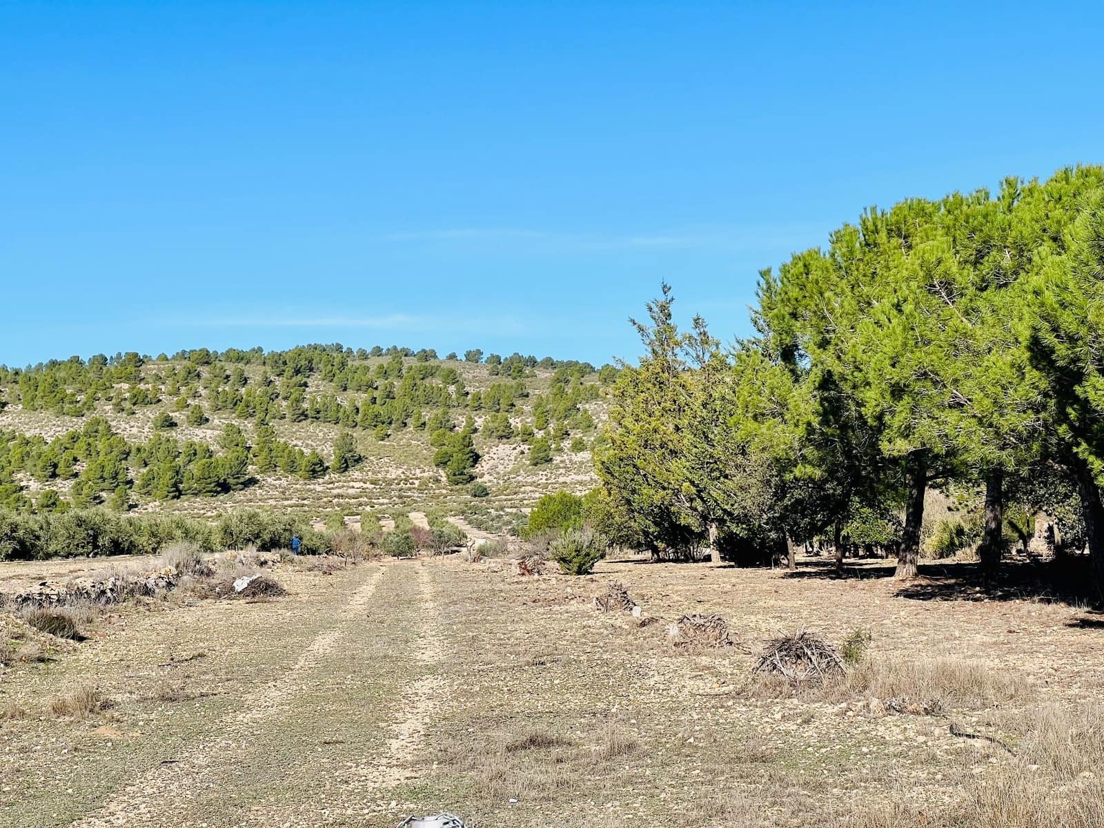 Grunde uden byggetilladelser til salg i Canada - € 39.900 (Ref: 7379261)