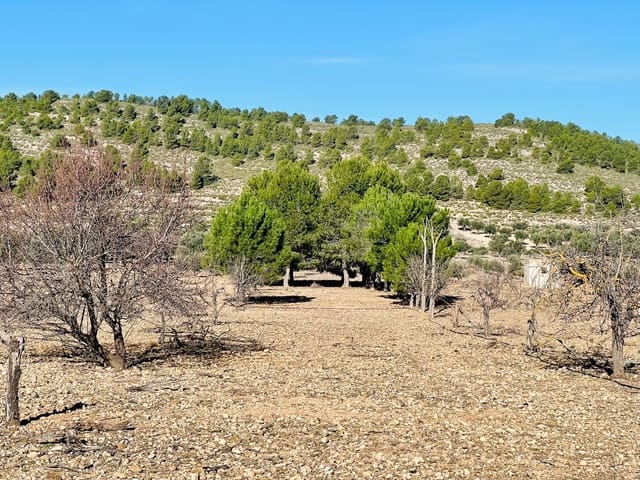 Mark till salu i Cañada - 39 900 € (Ref: 7379261)