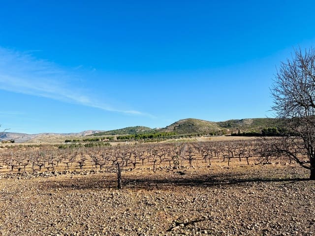 Mark till salu i Cañada - 39 900 € (Ref: 7379261)