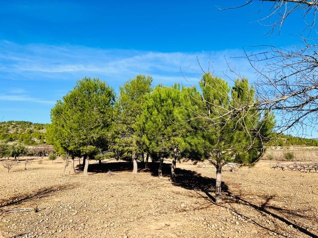 Mark till salu i Cañada - 39 900 € (Ref: 7379261)