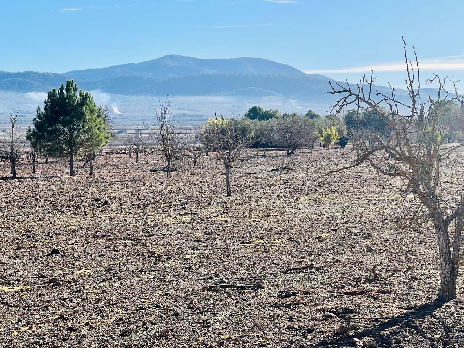 Grunde uden byggetilladelser til salg i Canada - € 39.900 (Ref: 7379261)