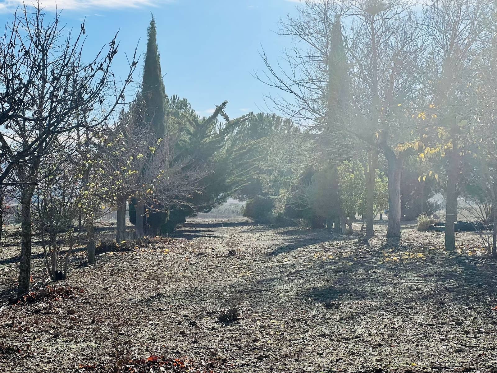 Grunde uden byggetilladelser til salg i Canada - € 39.900 (Ref: 7379261)