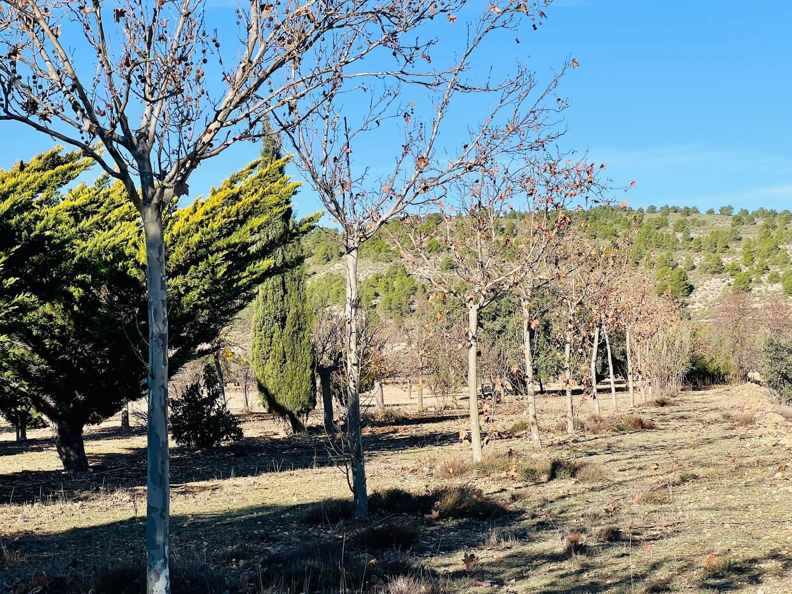 Grunde uden byggetilladelser til salg i Canada - € 39.900 (Ref: 7379261)