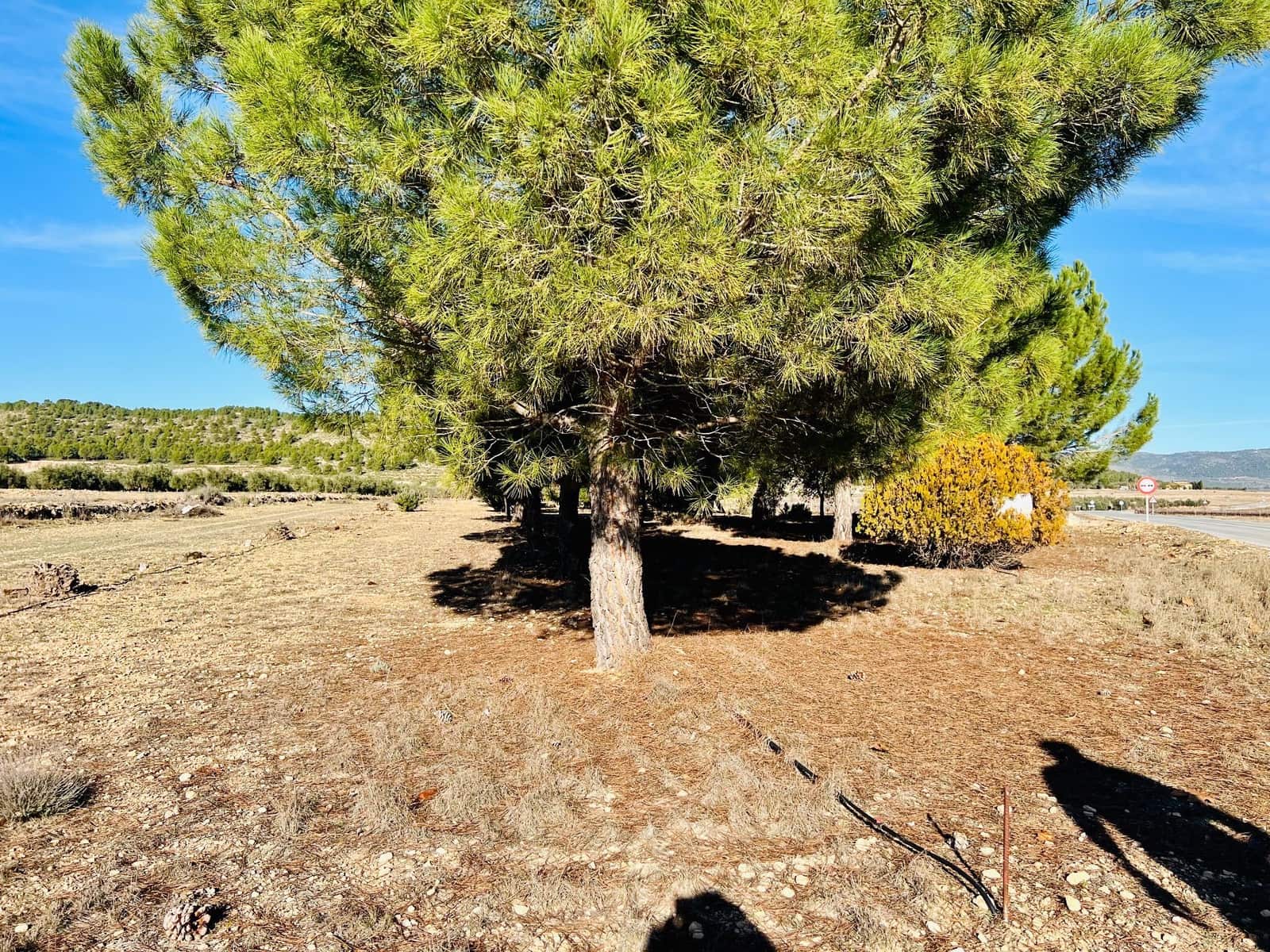 Grunde uden byggetilladelser til salg i Canada - € 39.900 (Ref: 7379261)