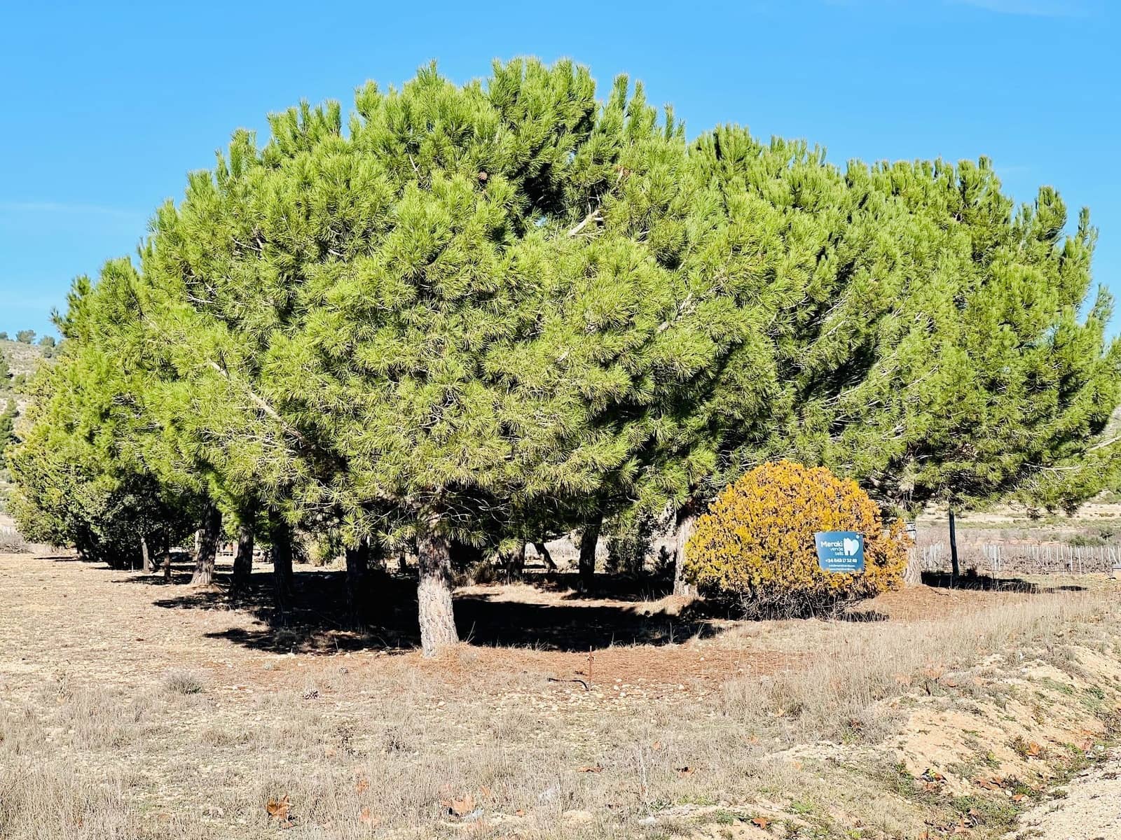 Grunde uden byggetilladelser til salg i Canada - € 39.900 (Ref: 7379261)