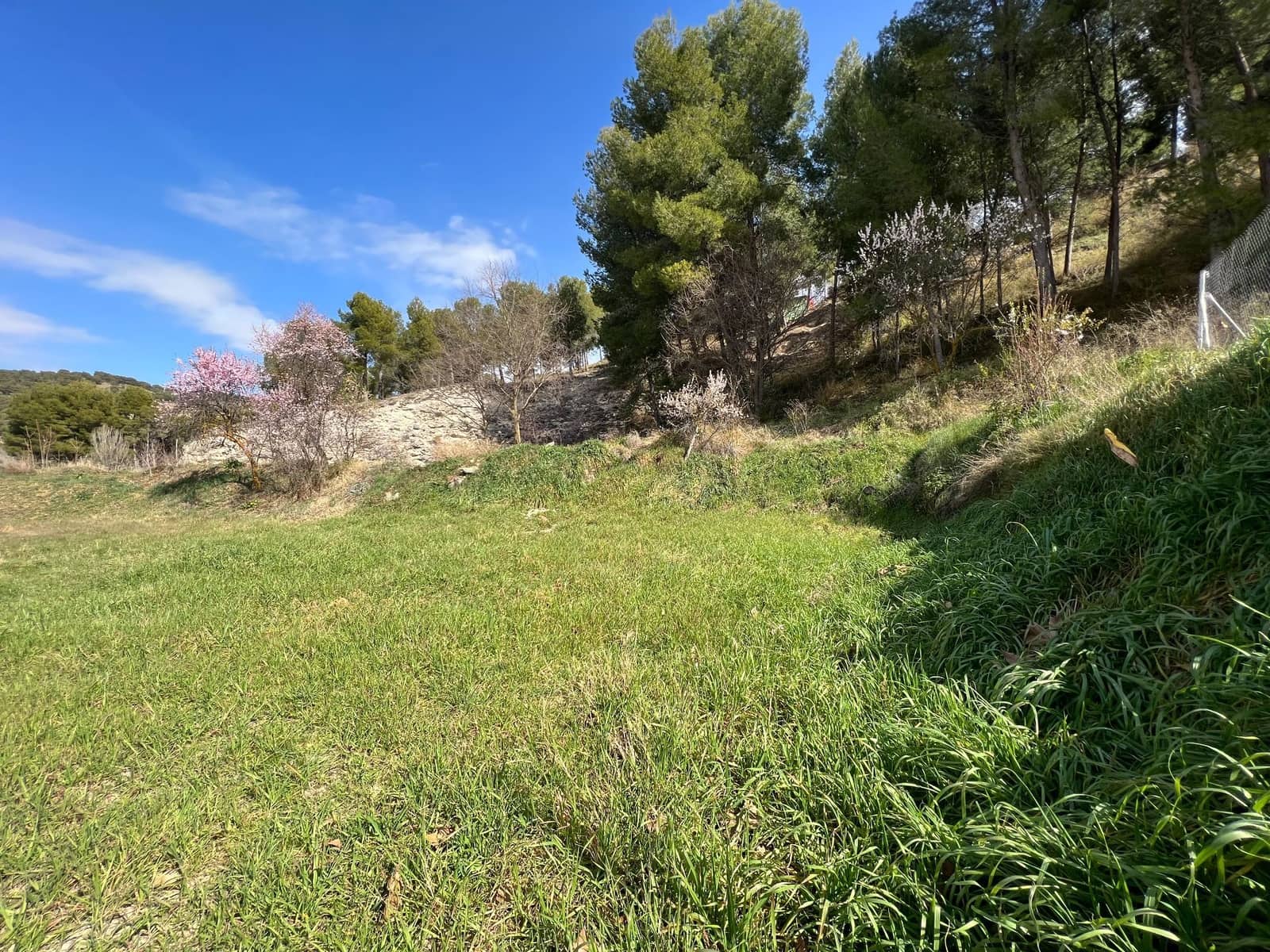 Teren niezagospodarowany na sprzedaż w Biar - 69 000 € (Ref: 7443945)