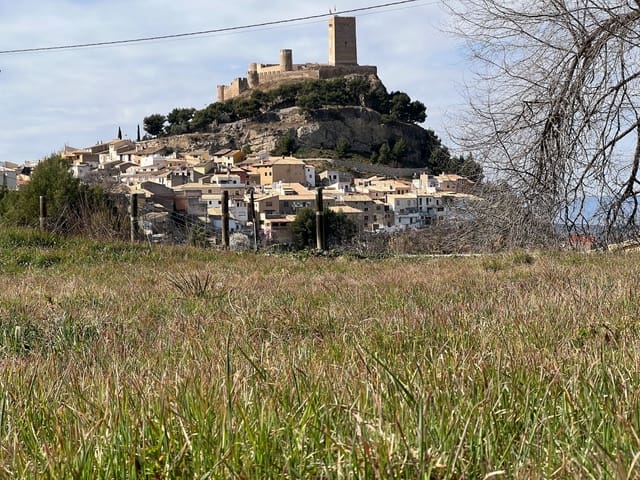 Mark till salu i Biar - 69 000 € (Ref: 7443945)