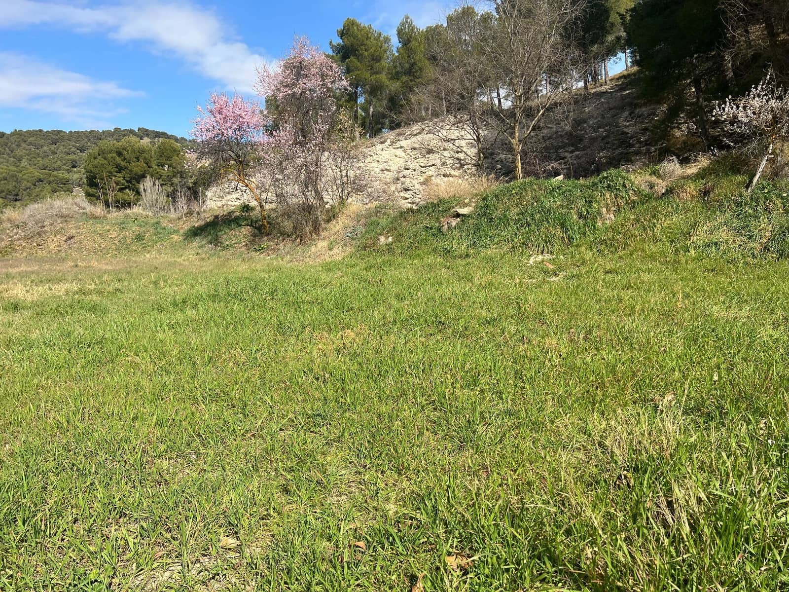 Teren niezagospodarowany na sprzedaż w Biar - 69 000 € (Ref: 7443945)