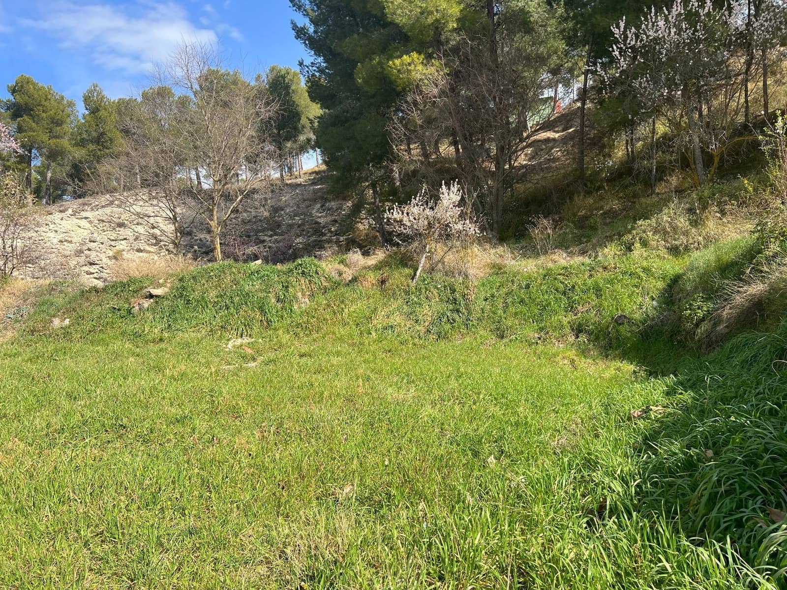 Teren niezagospodarowany na sprzedaż w Biar - 69 000 € (Ref: 7443945)