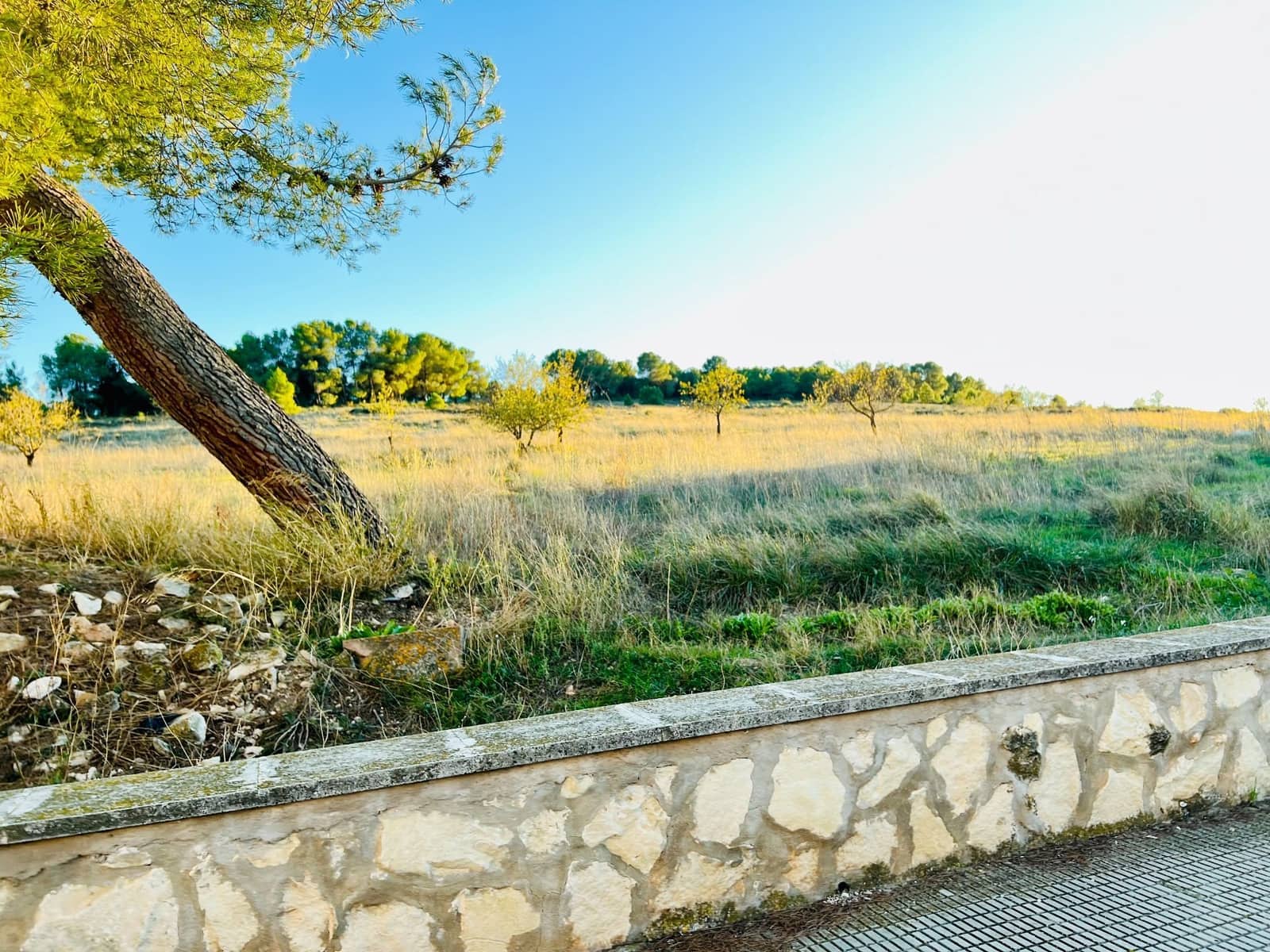 2 soveværelse Byhus til salg i El Camp de Mirra med garage - € 94.000 (Ref: 8349914)