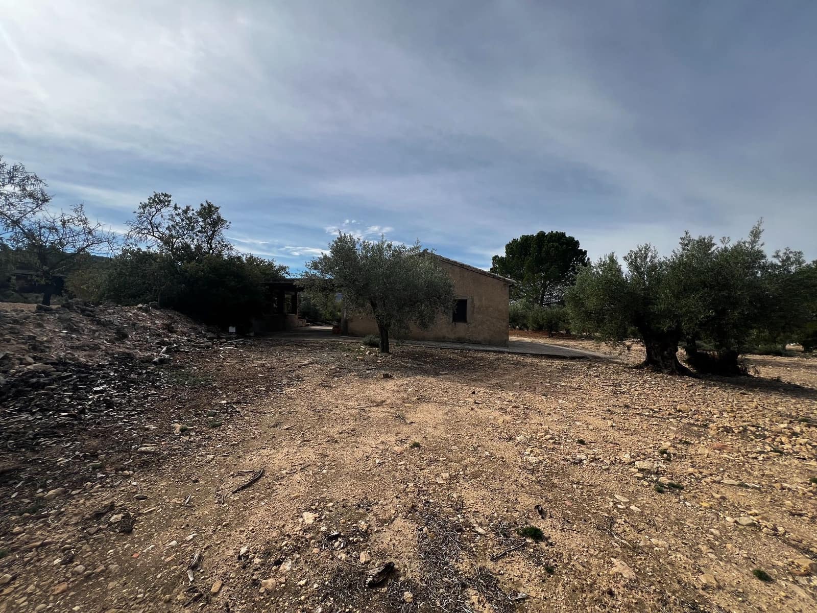 1 sypialnia Finka/Dom wiejski na sprzedaż w Biar - 85 000 € (Ref: 8848758)