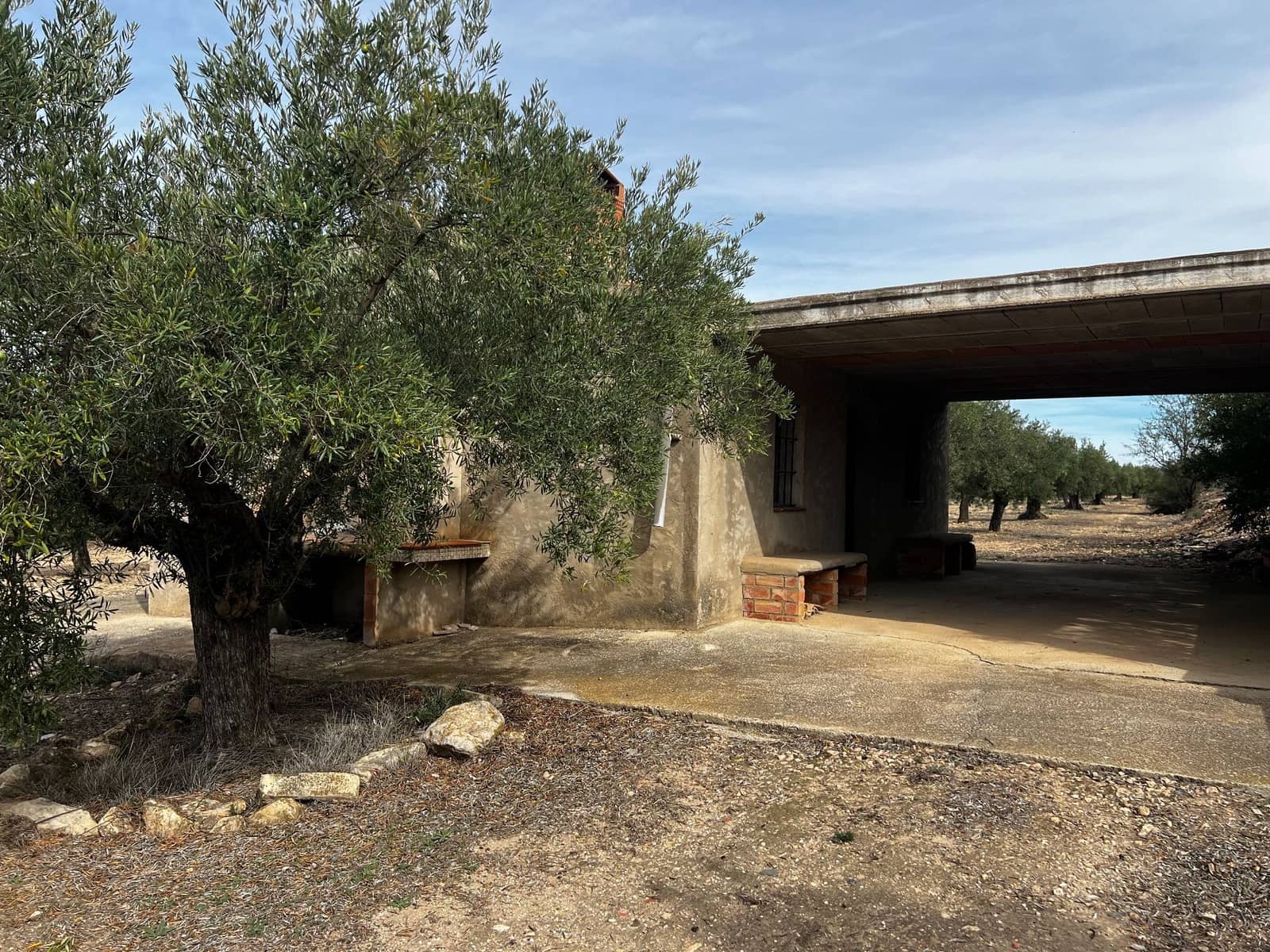 1 sypialnia Finka/Dom wiejski na sprzedaż w Biar - 85 000 € (Ref: 8848758)