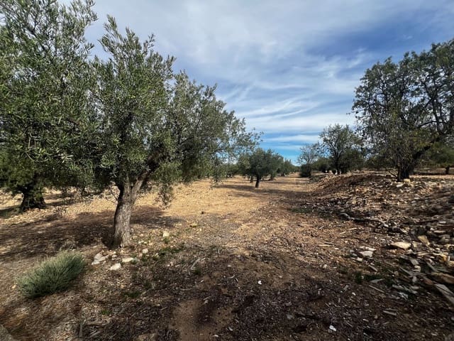 1 quarto Quinta/Casa Rural para venda em Biar - 85 000 € (Ref: 8848758)