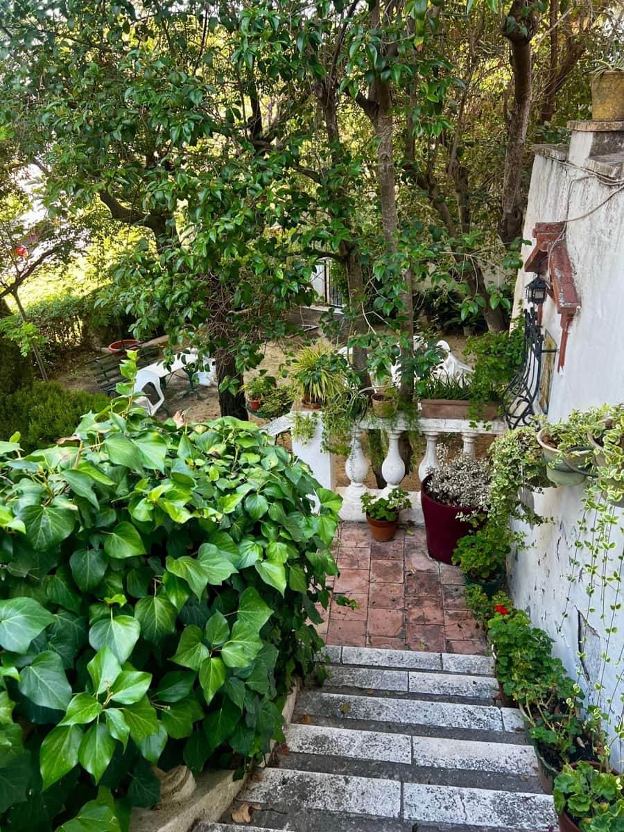 8 sypialnia Dom na sprzedaż w Biar z basenem - 400 000 € (Ref: 9016982)