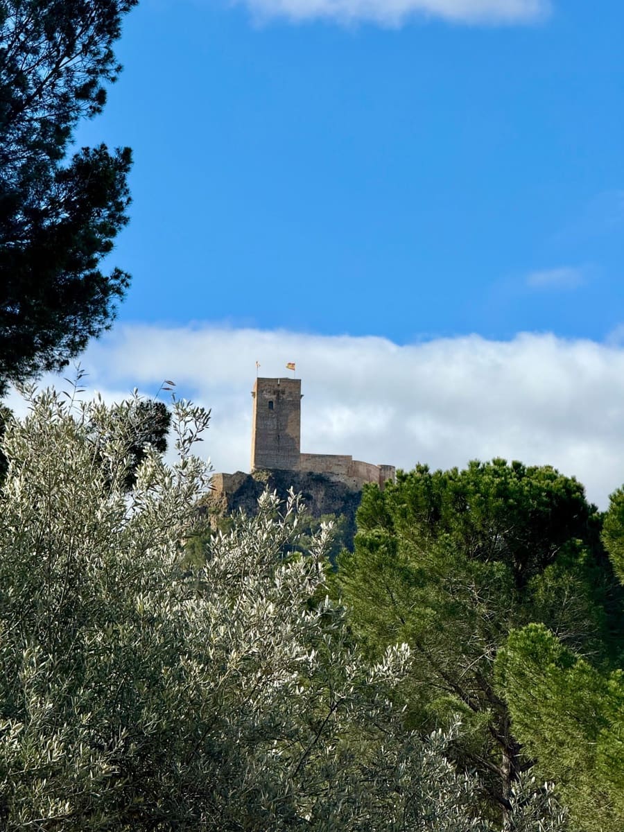 3 bedroom Finca/Country House for sale in Biar with pool garage - € 130,000 (Ref: 9081314)