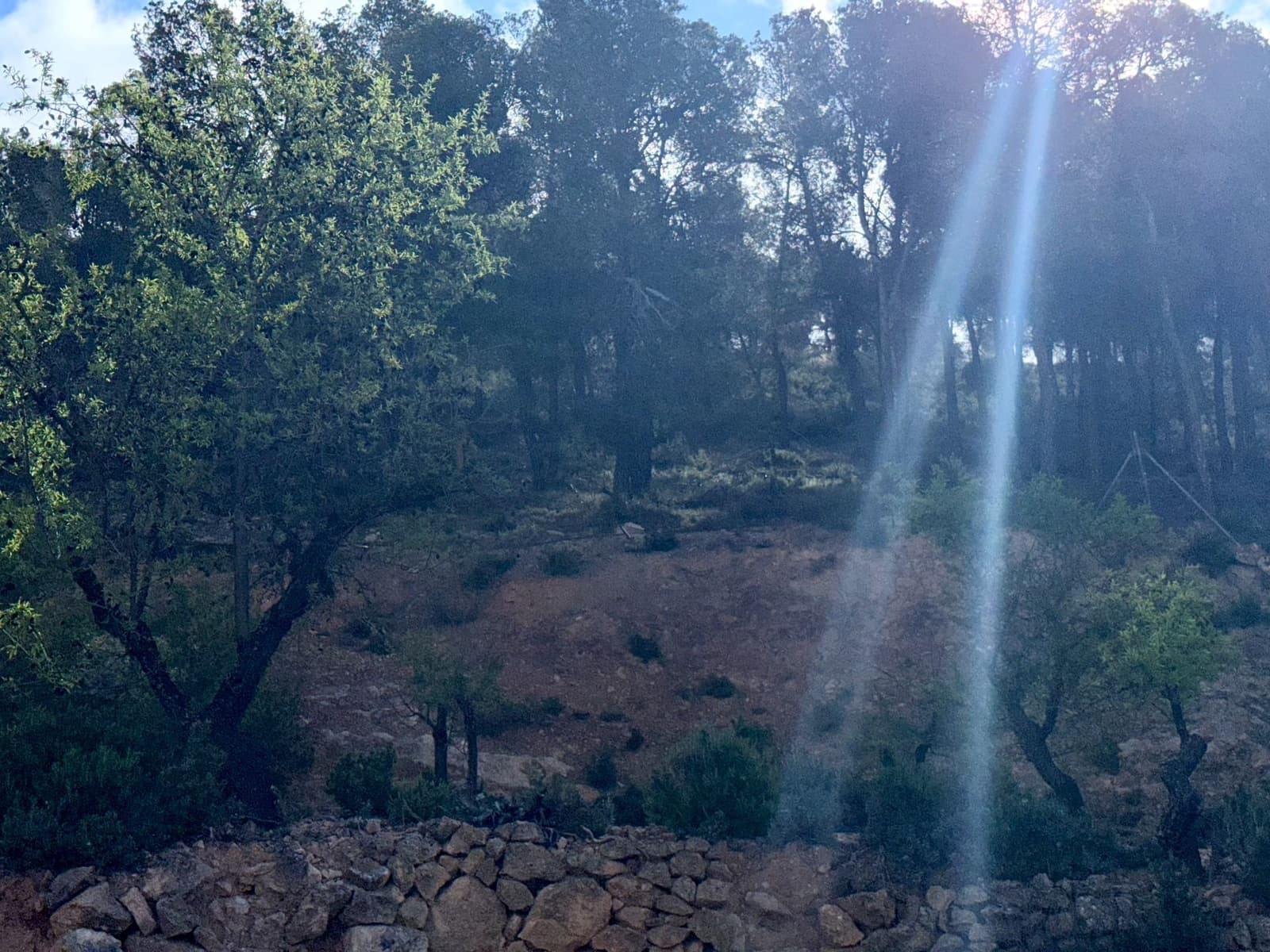 3 bedroom Finca/Country House for sale in Biar with pool garage - € 130,000 (Ref: 9081314)