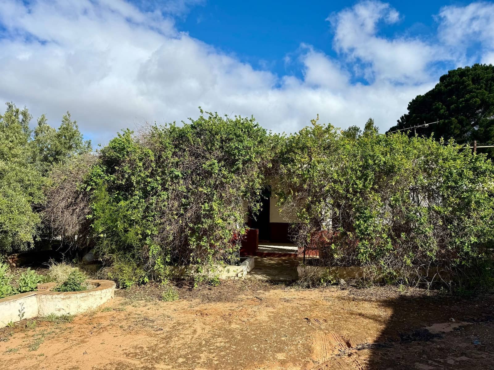 3 bedroom Finca/Country House for sale in Biar with pool garage - € 130,000 (Ref: 9081314)