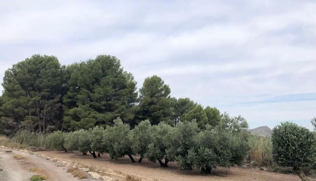 Chalet de 3 habitaciones en Villena en venta con piscina garaje - 250.000 € (Ref: 9949167)