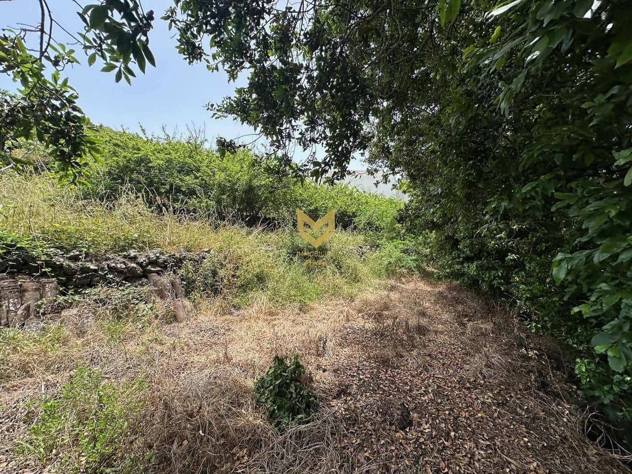 2 soveværelse Finca/Landehus til salg i El Tanque med swimmingpool - € 450.000 (Ref: 9133198)