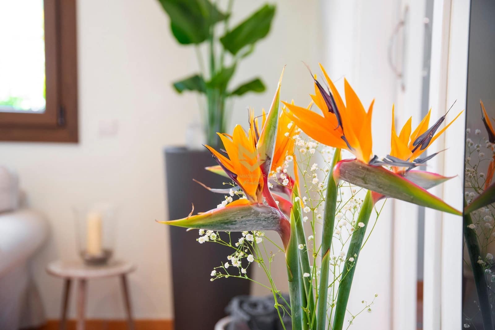 5 makuuhuone Huvila myytävänä paikassa Guia de Isora mukana uima-altaan 
autotalli - 1 175 000 € (Ref: 9632754)