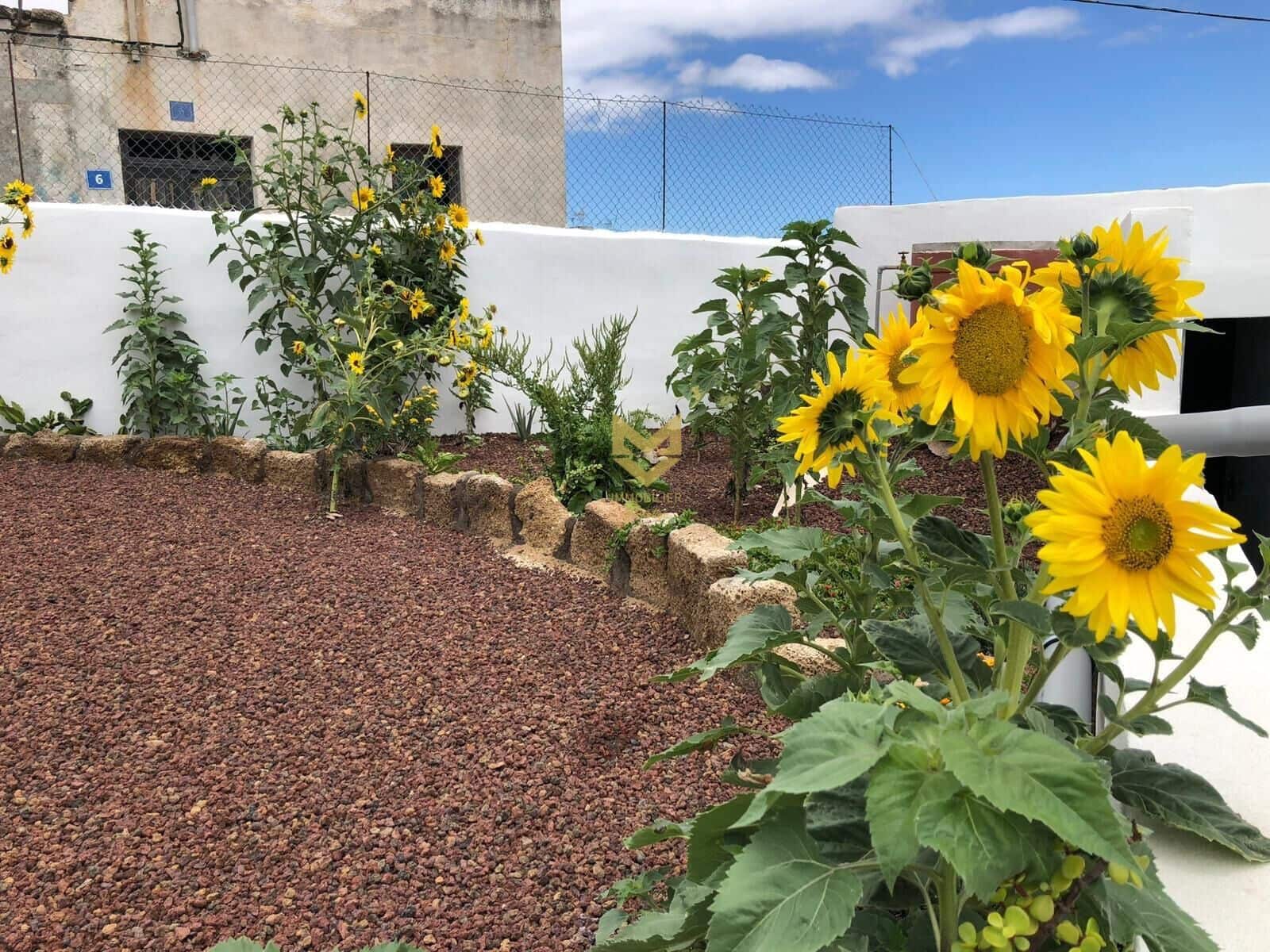 3 Zimmer Finca/Landgut zu verkaufen in Fasnia mit Garage - 370.000 € (Ref: 9743216)