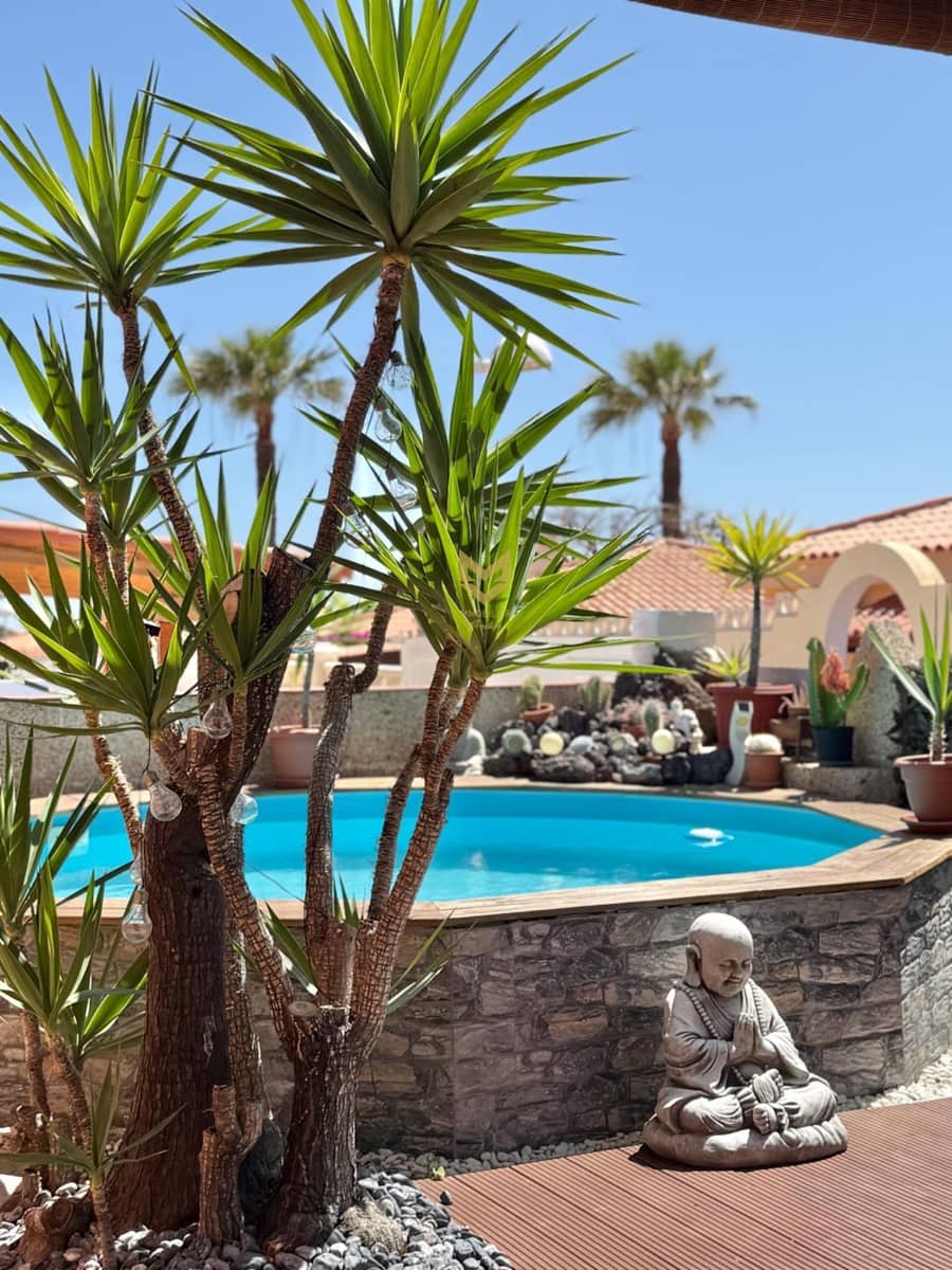 3 slaapkamer Bungalow te koop in Callao Salvaje - € 549.000 (Ref: 9748163)