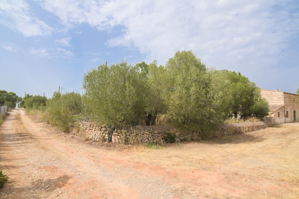 5 quarto Quinta/Casa Rural para venda em Manacor - 800 000 € (Ref: 10035021)