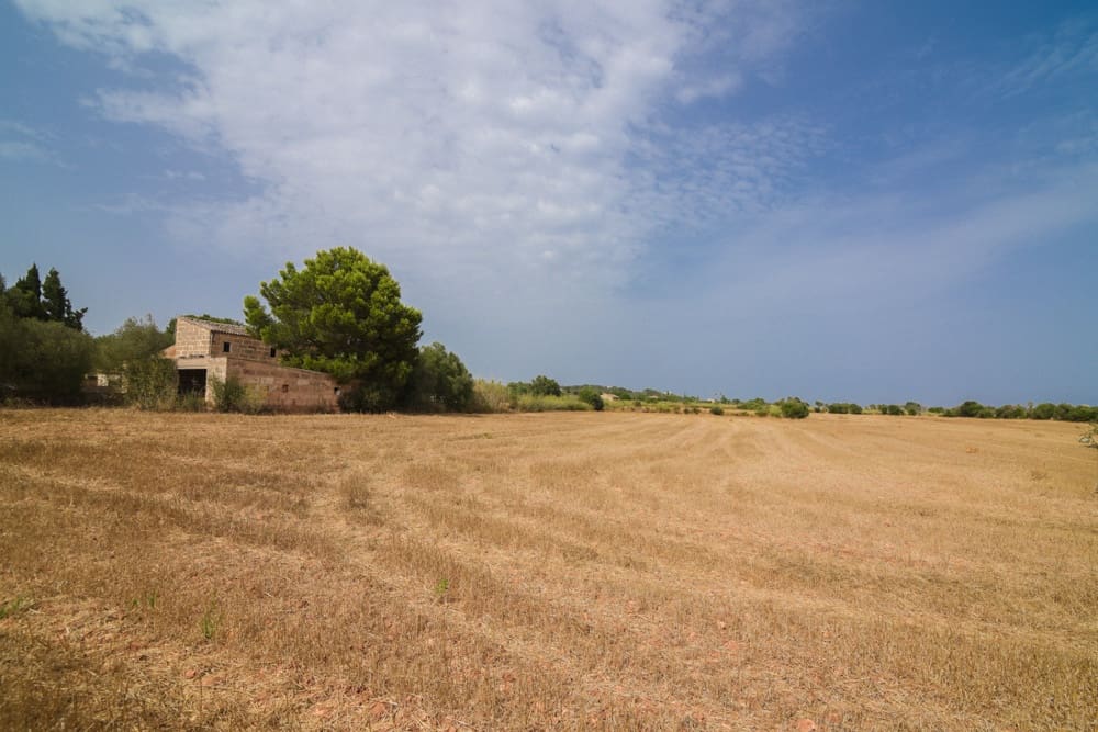5 quarto Quinta/Casa Rural para venda em Manacor - 800 000 € (Ref: 10035021)