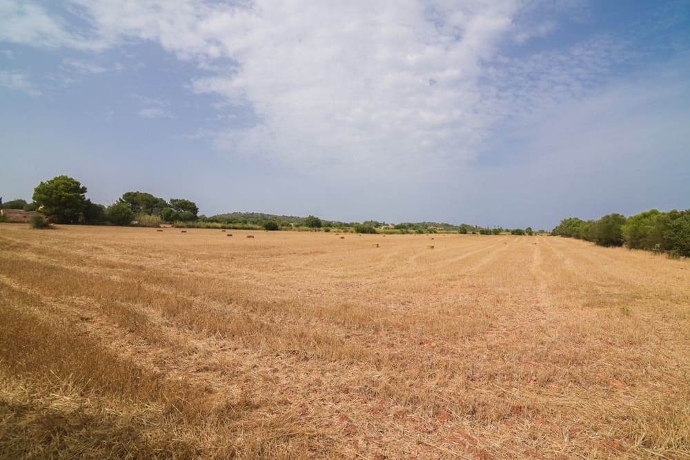 5 quarto Quinta/Casa Rural para venda em Manacor - 800 000 € (Ref: 10035021)