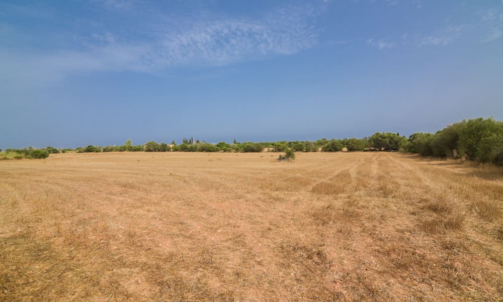 5 quarto Quinta/Casa Rural para venda em Manacor - 800 000 € (Ref: 10035021)