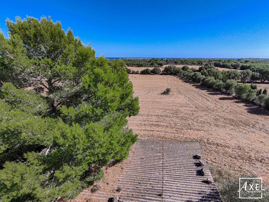5 soveværelse Finca/Landehus til salg i Manacor - € 800.000 (Ref: 10035021)